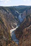 im Grand Canyon des Yellowstone